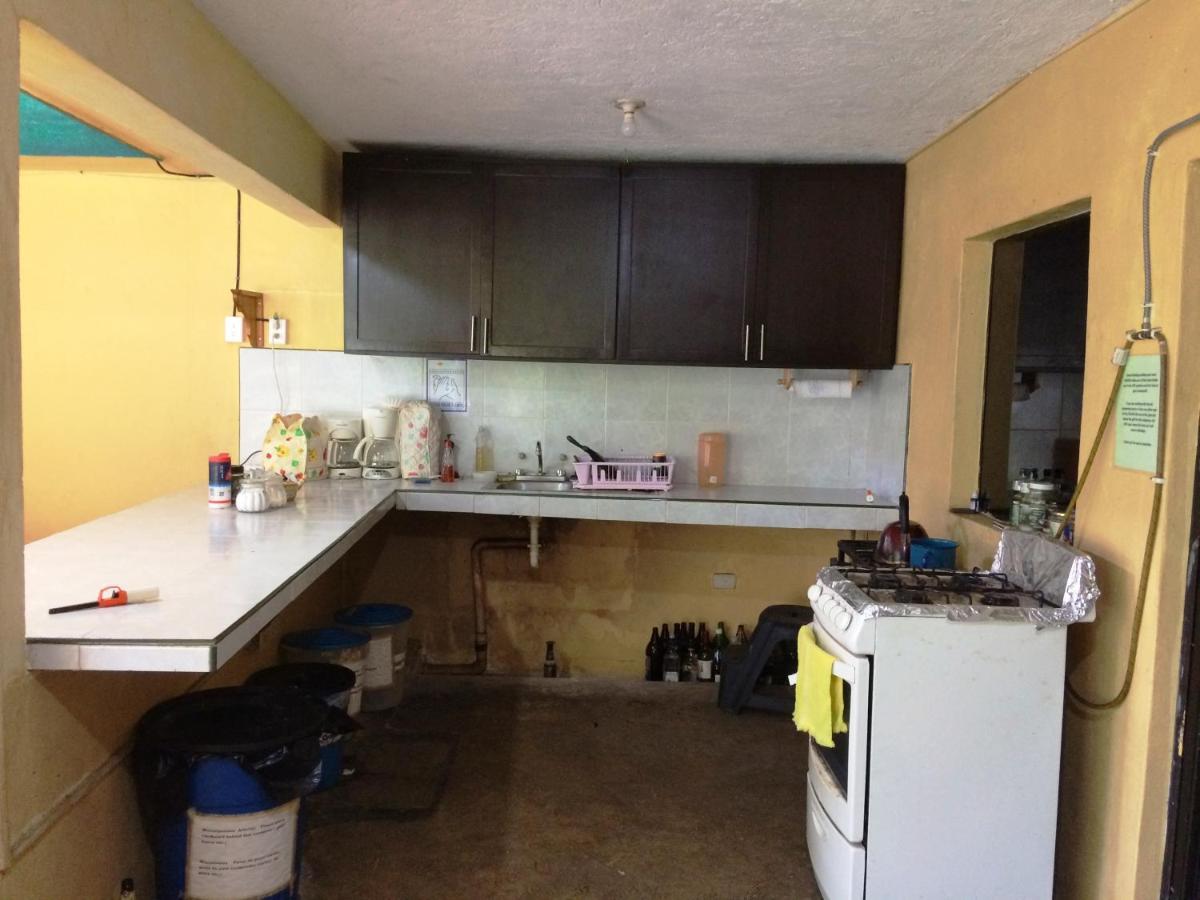 Amigos Hostel Cozumel Bagian luar foto