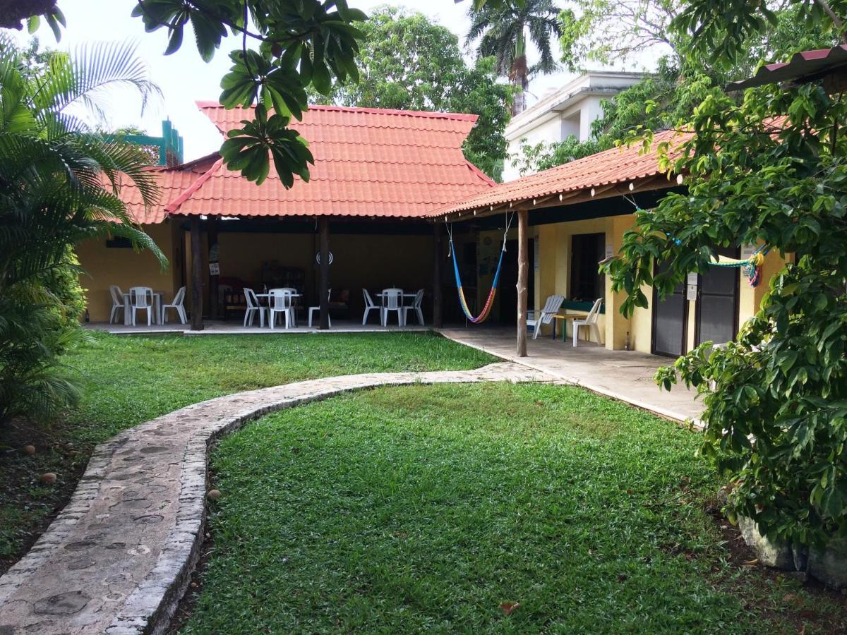 Amigos Hostel Cozumel Bagian luar foto