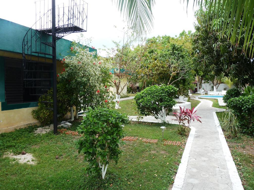 Amigos Hostel Cozumel Bagian luar foto