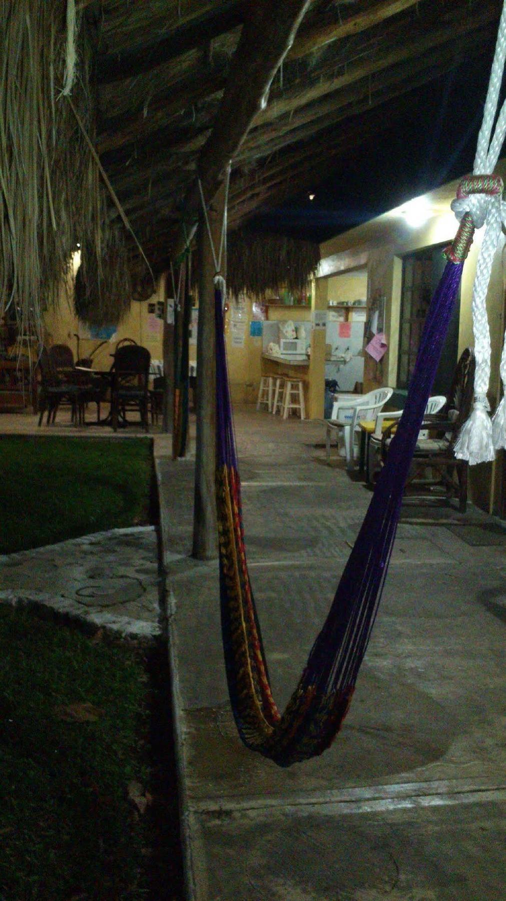 Amigos Hostel Cozumel Bagian luar foto