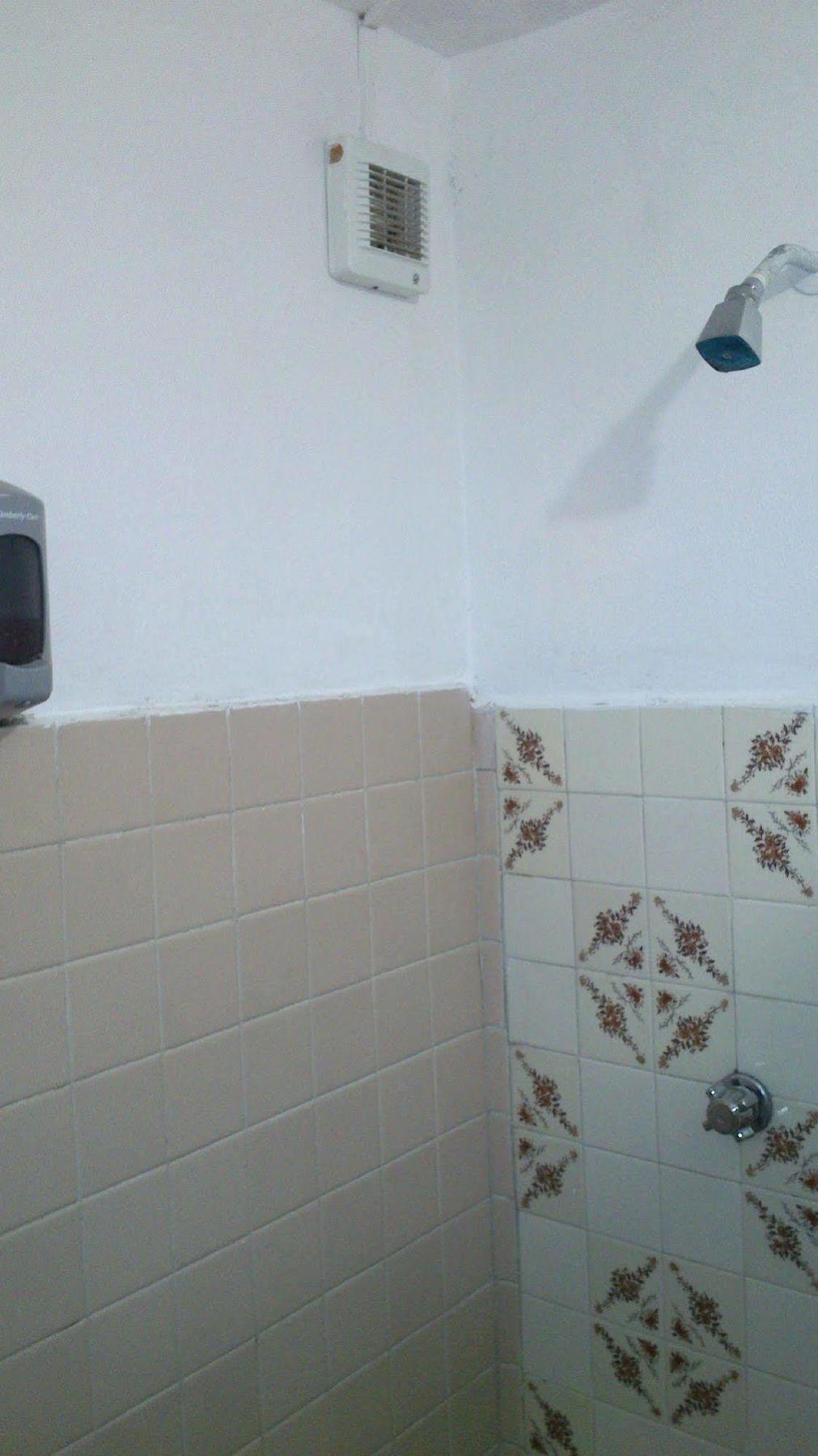 Amigos Hostel Cozumel Bagian luar foto