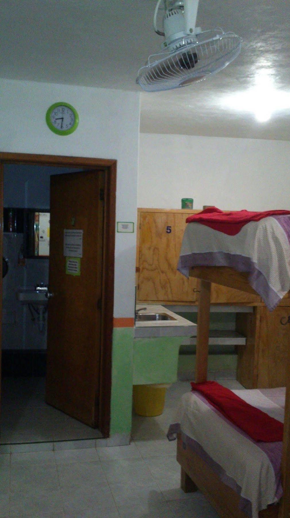 Amigos Hostel Cozumel Bagian luar foto