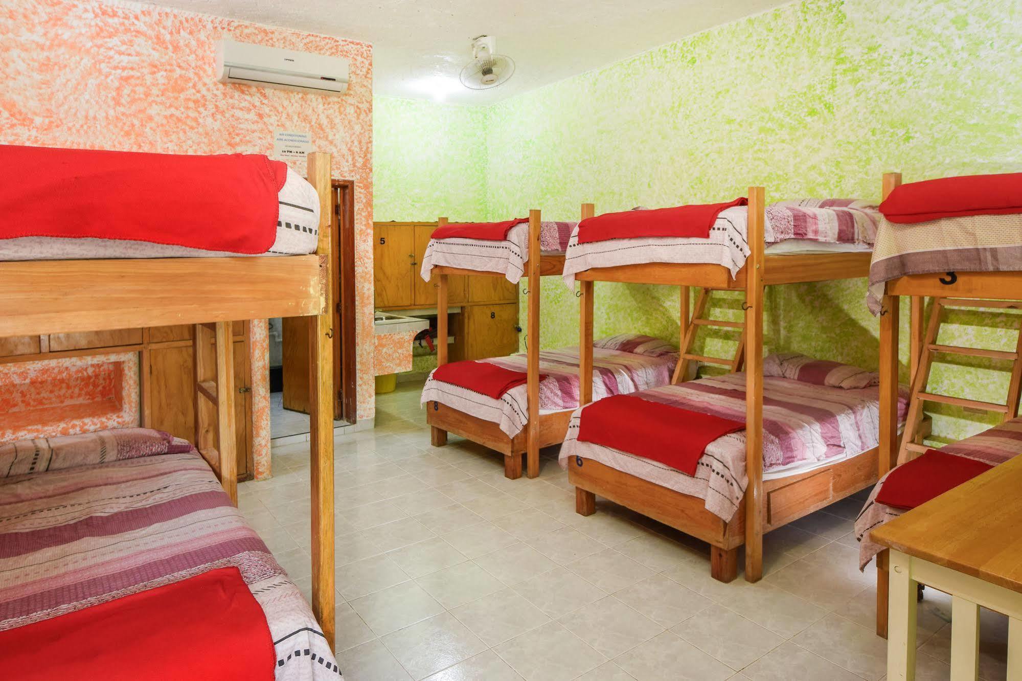 Amigos Hostel Cozumel Ranjang Hostel foto