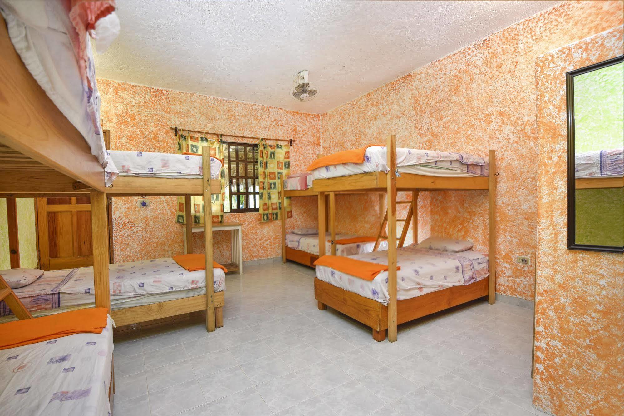 Amigos Hostel Cozumel Bagian luar foto