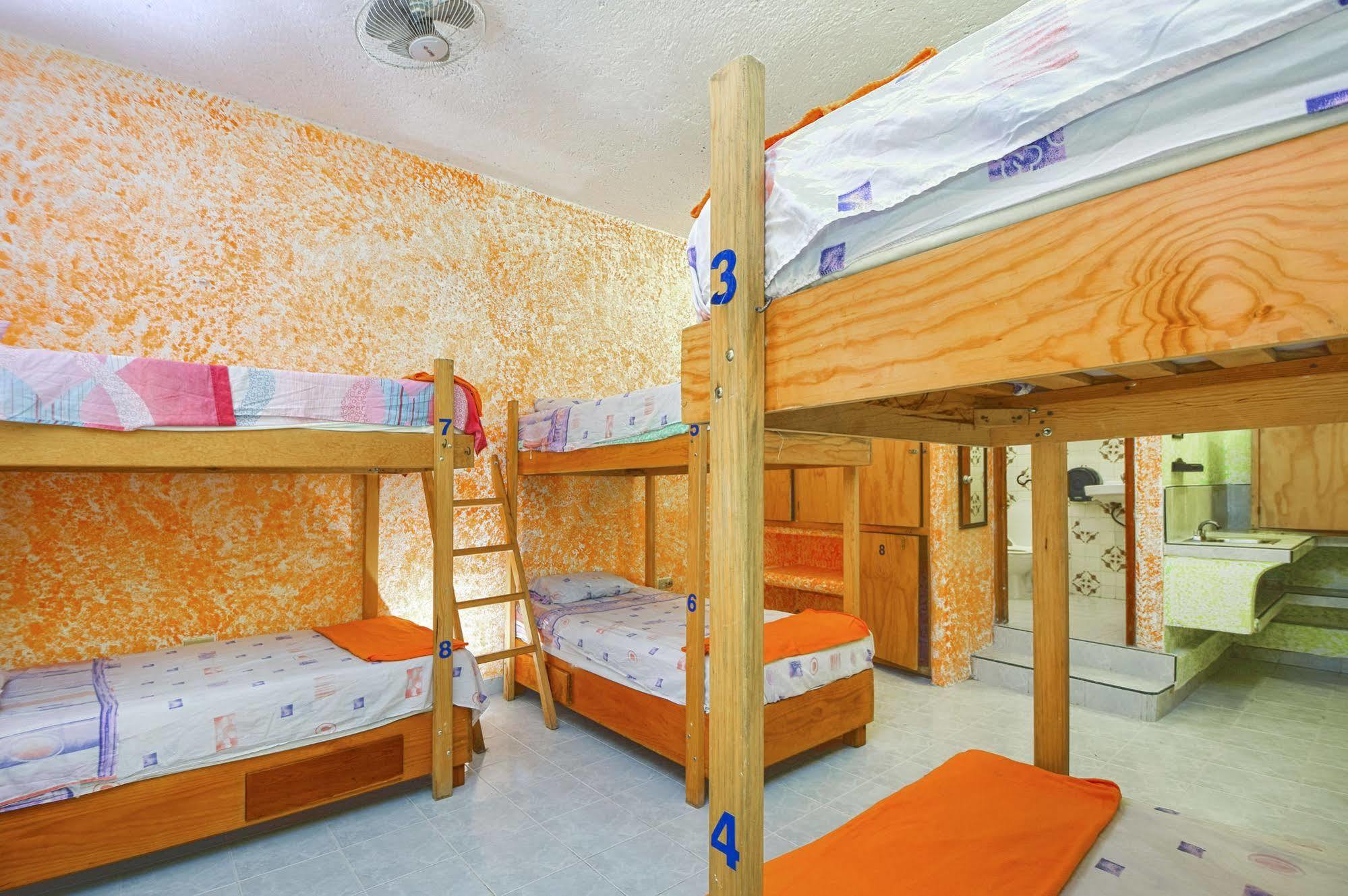 Amigos Hostel Cozumel Bagian luar foto