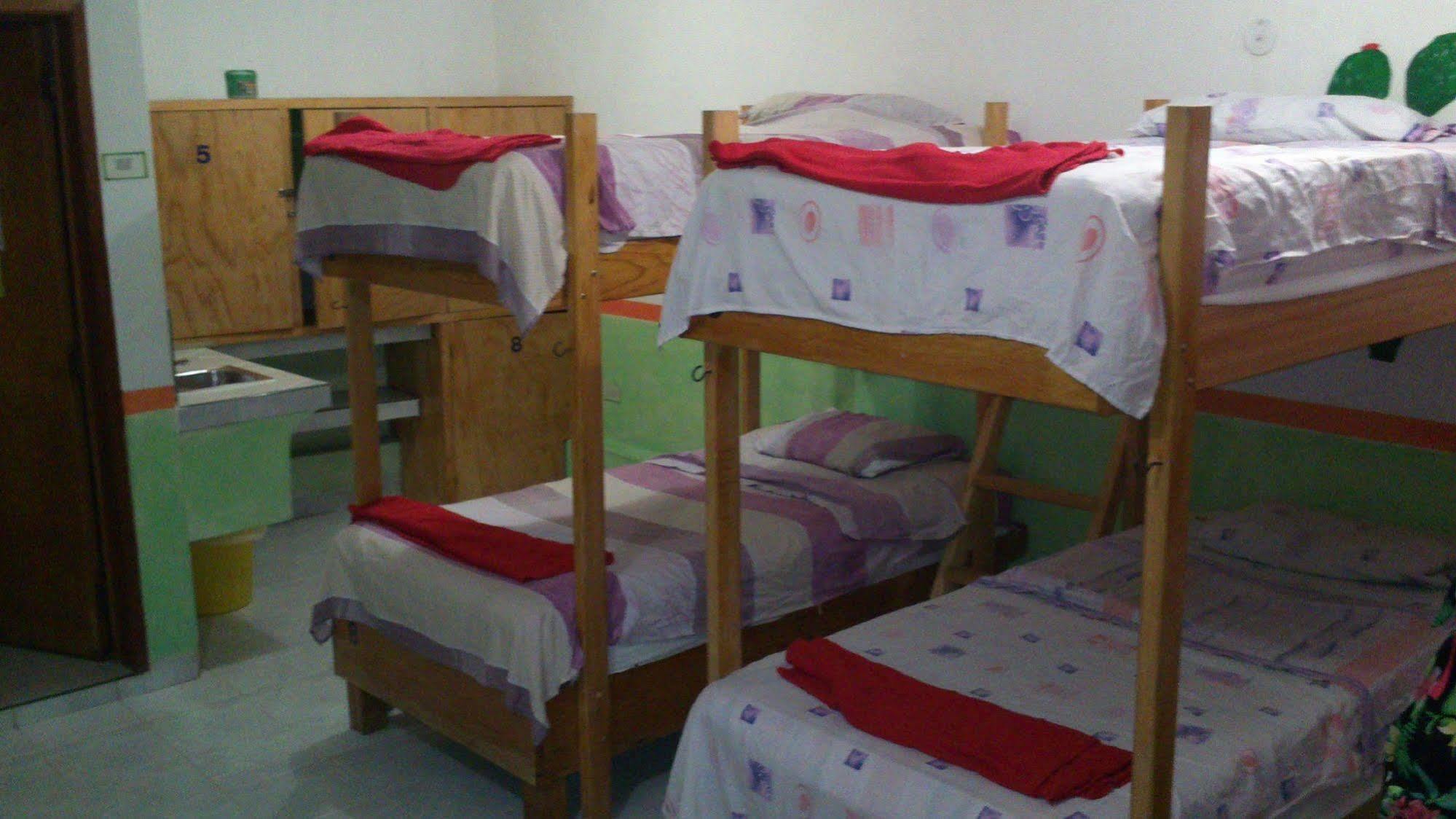 Amigos Hostel Cozumel Ranjang Hostel foto