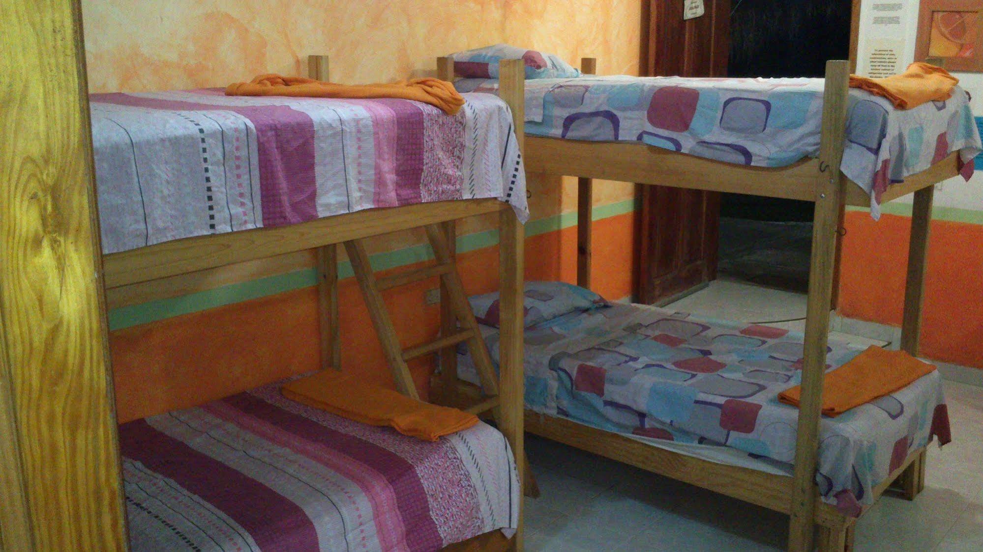 Amigos Hostel Cozumel Bagian luar foto
