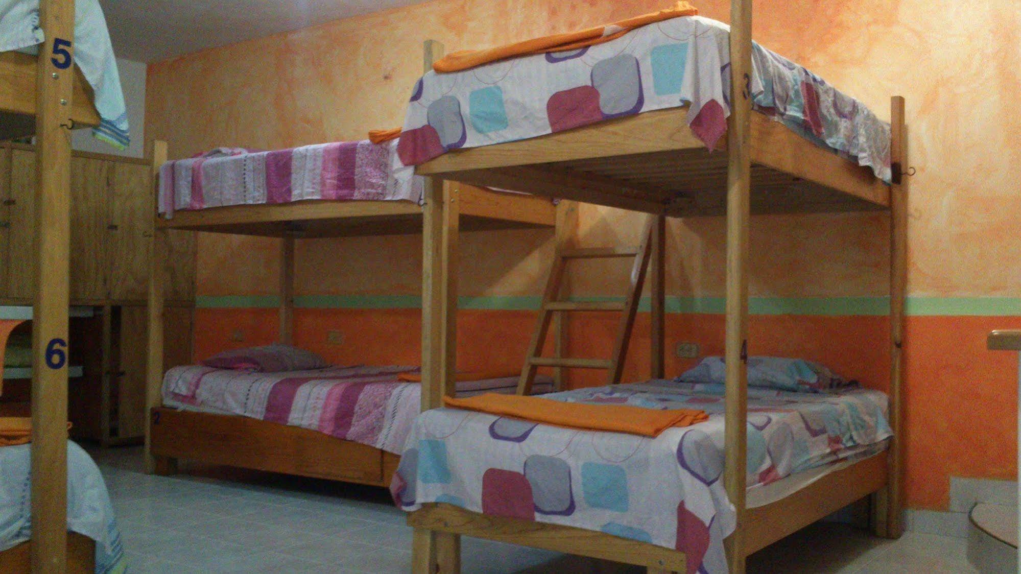 Amigos Hostel Cozumel Bagian luar foto
