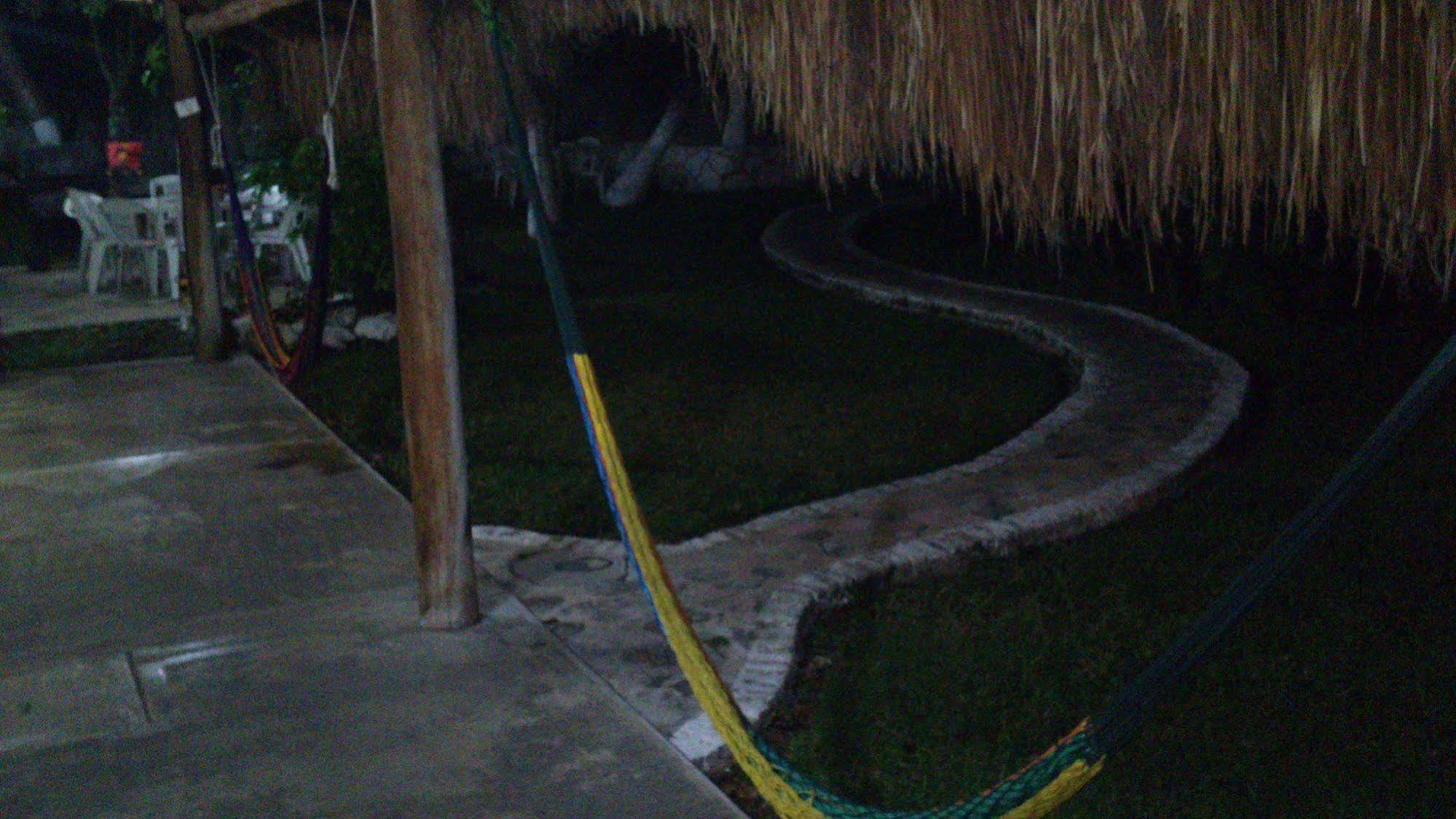 Amigos Hostel Cozumel Bagian luar foto