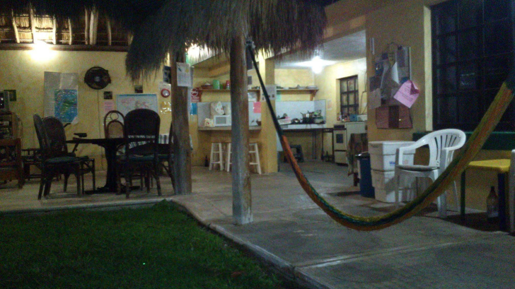 Amigos Hostel Cozumel Bagian luar foto